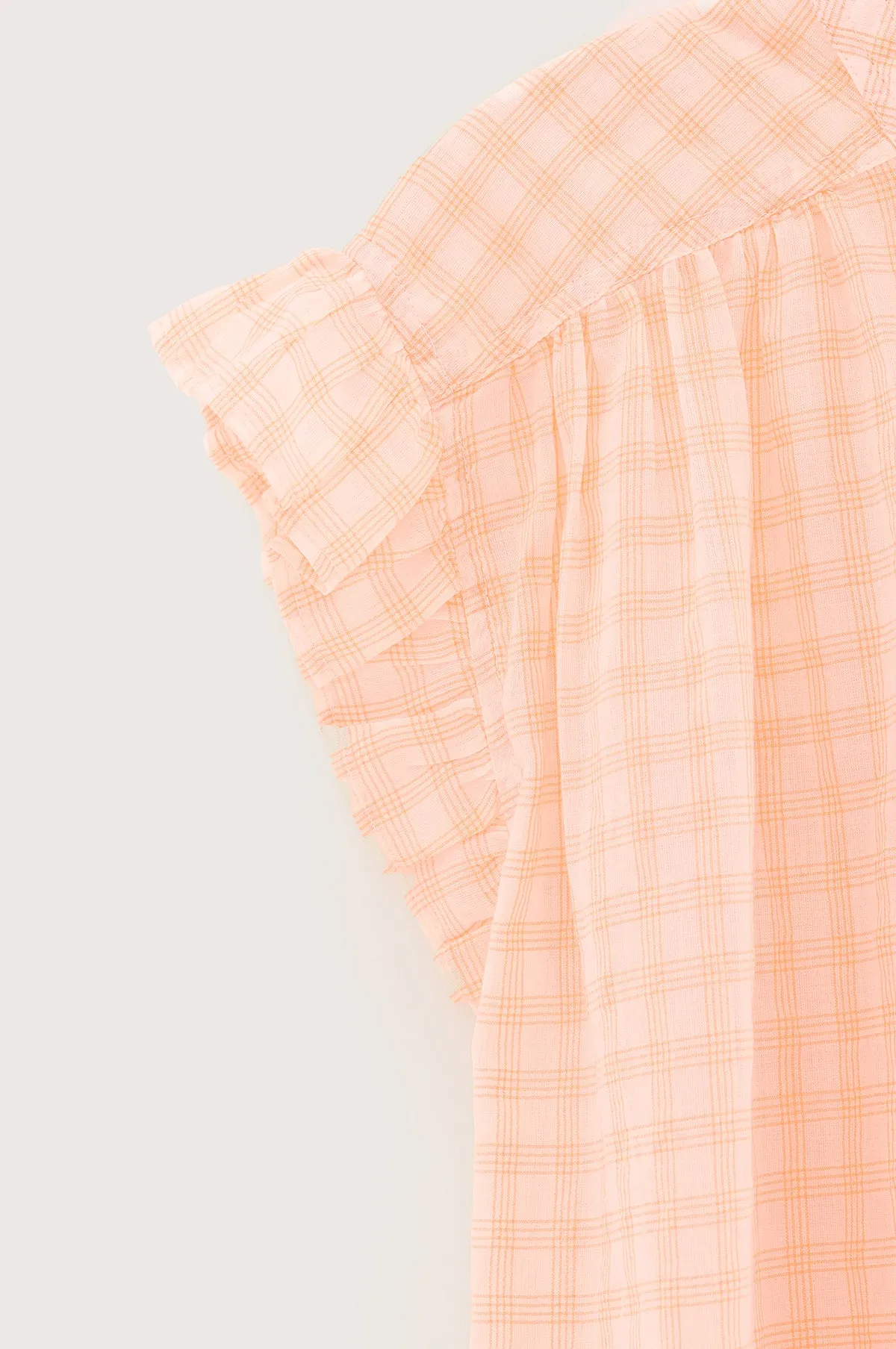 Coyote Blouse Check A