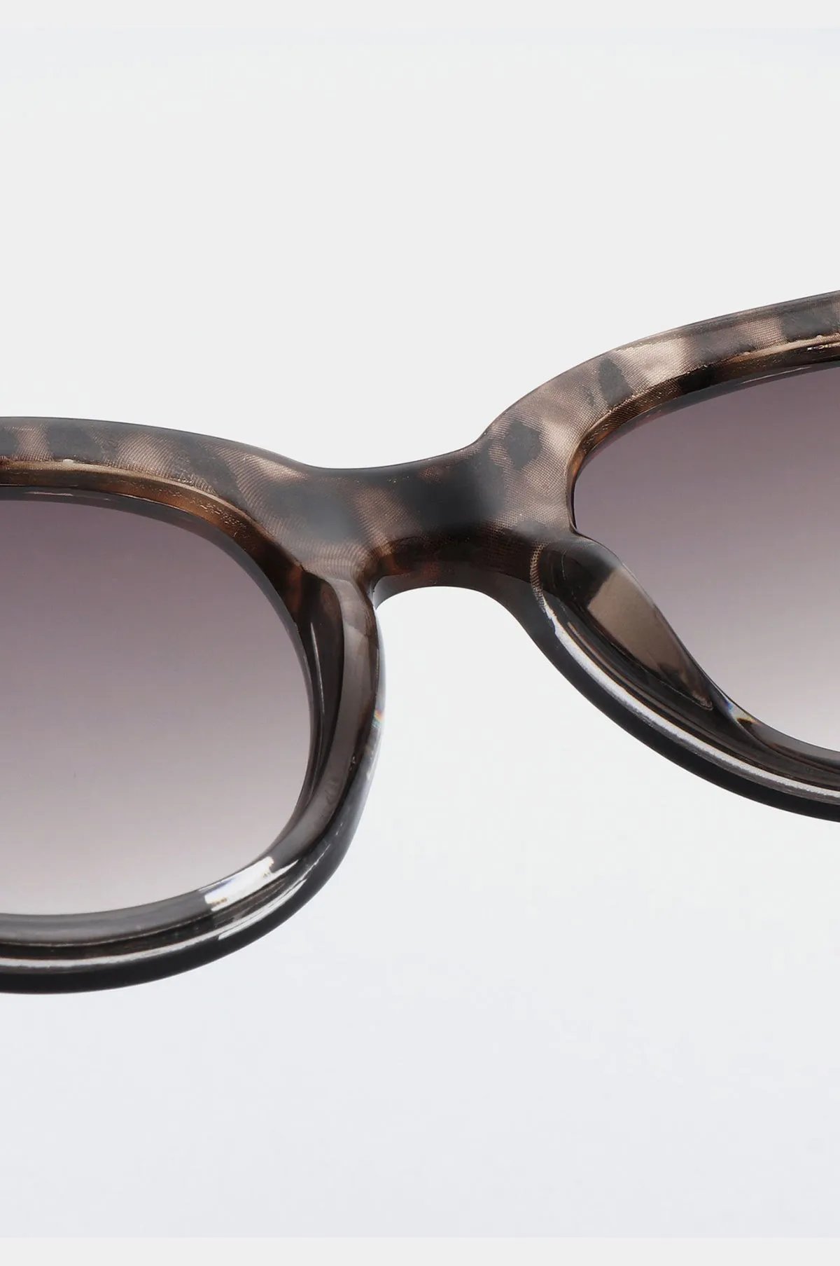 Lilly Sunglasses Coquina/ Gray Transparent