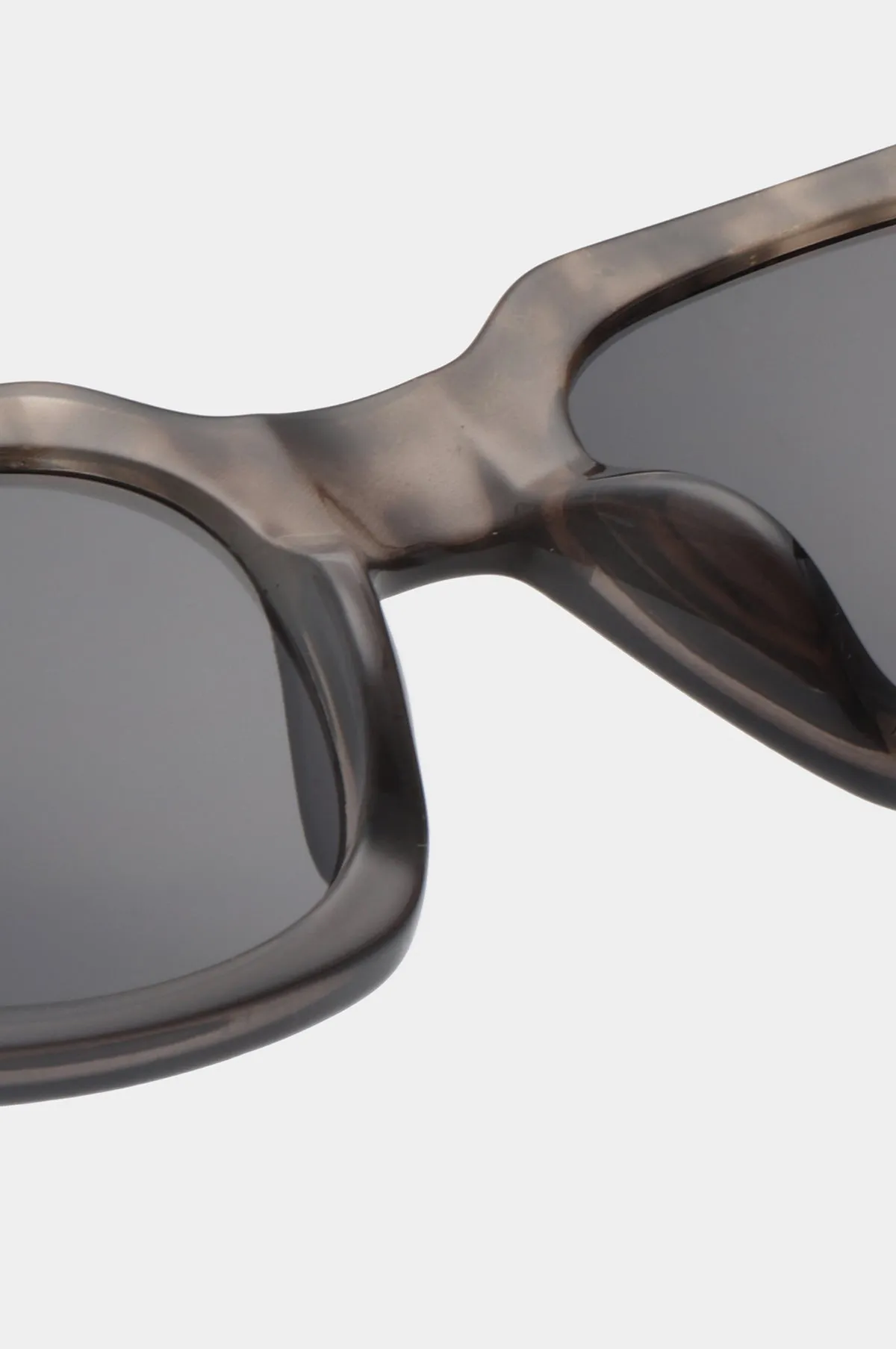 Nancy Sunglasses Coquina/ Gray Transparent